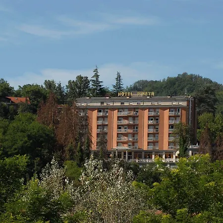Hotel Pineta 3*